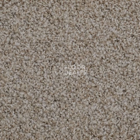 Ковролин Vorwerk Exclusive1009/Elara 8g81 фото 1 | FLOORDEALER